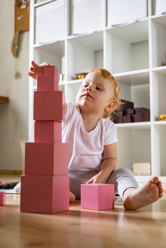 Behavior, Guidance & Social-Emotional Development